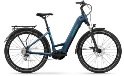 Winora Yucatan X8 Darkblue matt